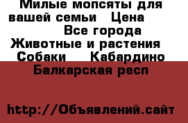 Милые мопсяты для вашей семьи › Цена ­ 20 000 - Все города Животные и растения » Собаки   . Кабардино-Балкарская респ.